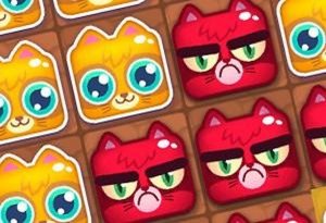 Kitten Mood Puzzle