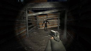 Whispering Silhouette Puzzle Escape