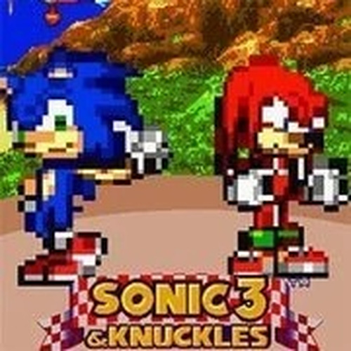 Hedgehog Heroes: Island Quest