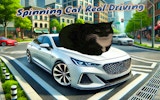 Spinning Cat Real Driving - Open World Car Game