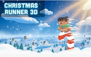 Snowy Dash Holiday 3D