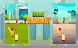 Gully Cricket: Street Cricket Battle