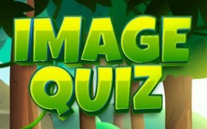 Visual Word Match Challenge