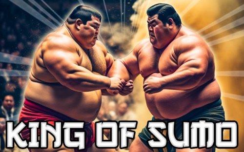 King Of Sumo Wrestling Game