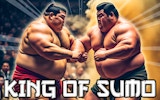 King Of Sumo Wrestling Game
