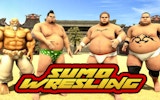Sumo Wrestling Game Online