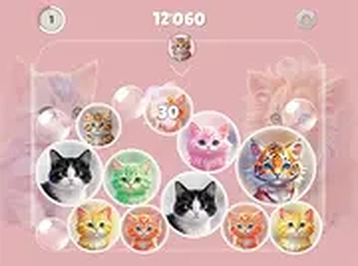 Feline Fusion Board Puzzle